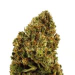 BERRY CREAM