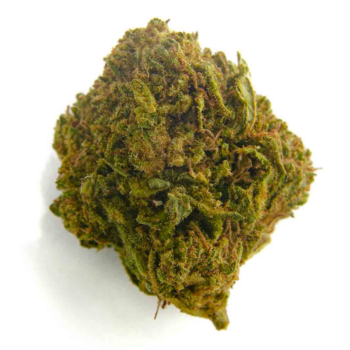 BUBBLE GUM