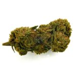 Gelato
