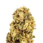 krippy kush