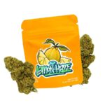 LEMON HAZE