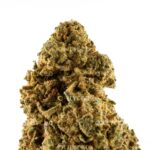 Mango haze