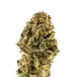 SMALL BUDS BANANA