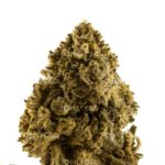 ONLY CBD ZKITTLEZ