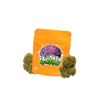 AMNESIA 47