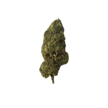 ALT'S – FLOR 20% 10-OH | CRITICAL