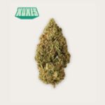 KUSHMINTZ