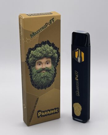 PARADISE | VAPER DESECHABLE