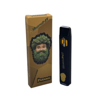 PARADISE | VAPER DESECHABLE